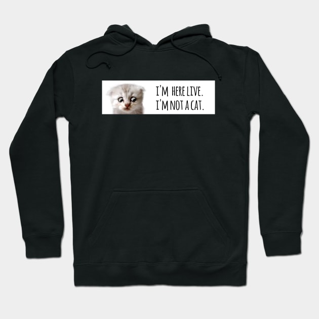 I'm here live. I'm not a cat. Hoodie by Ofeefee